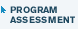program assessment