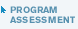 program assessment